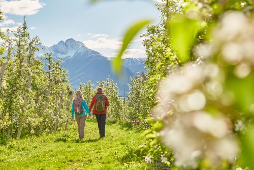 Frühlingserwachen in Partschins, Vinschgau