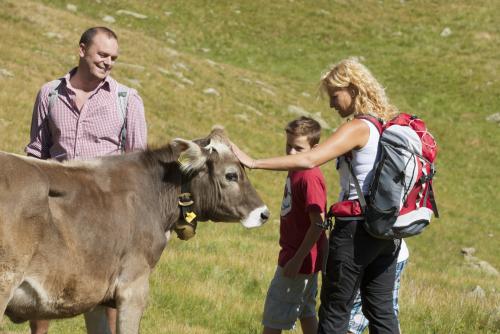 Wandern im Naturpark Texelgruppe