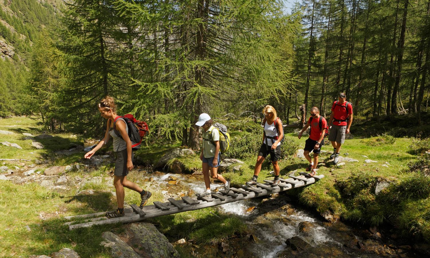 Wanderung durch Lärchenwälder