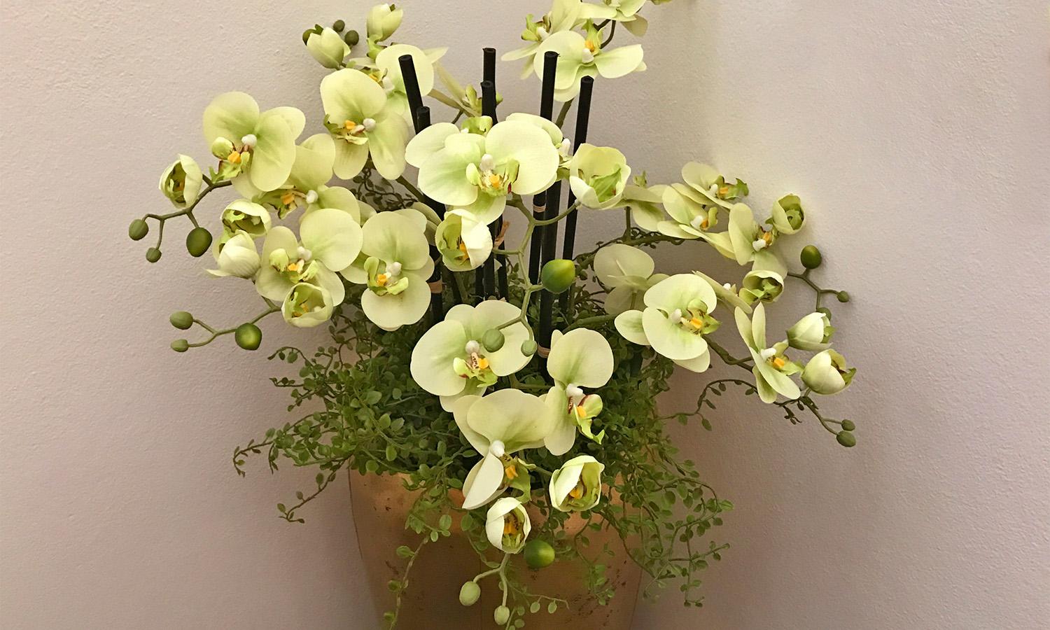 Orchidee im Flur