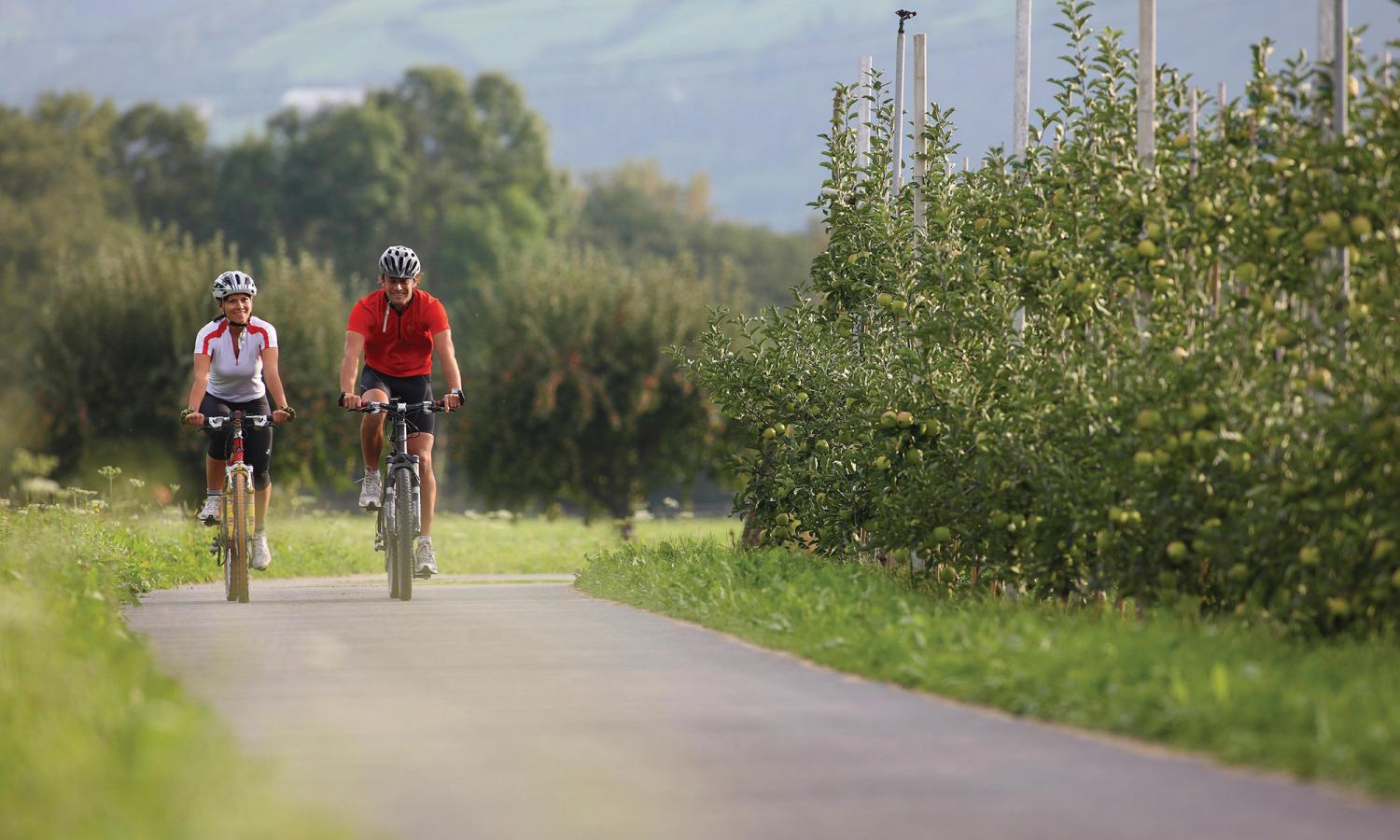 Vinschgau Radweg für gemütliche Familientouren